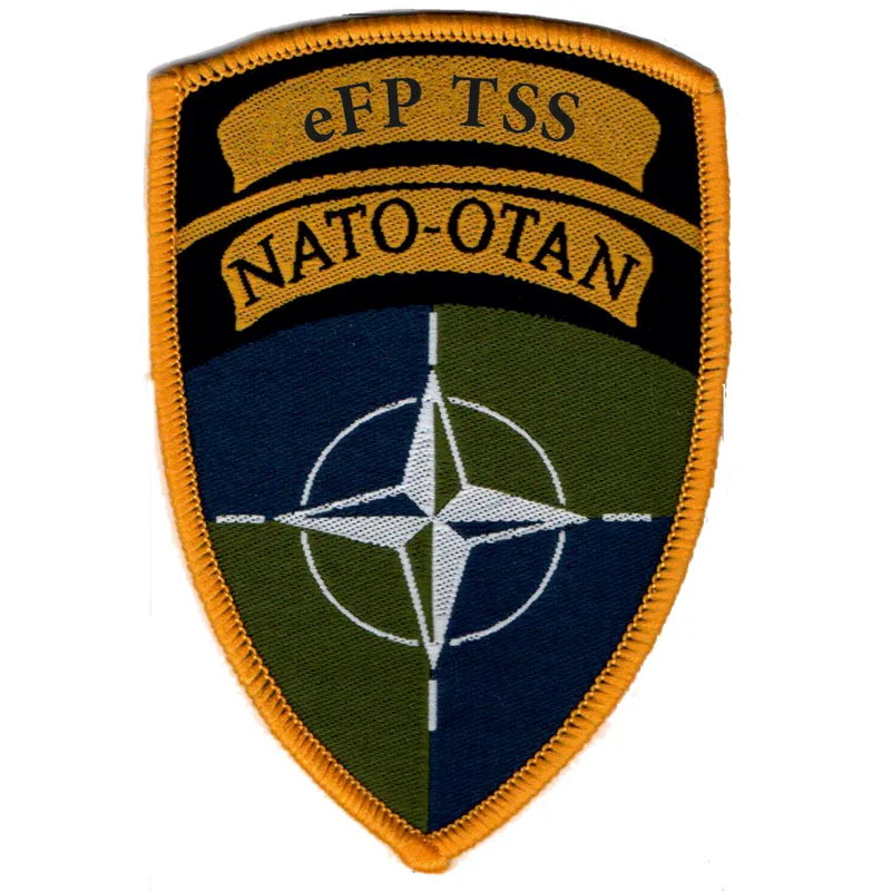 NATO eFP TSS Battle Group TRF Flash