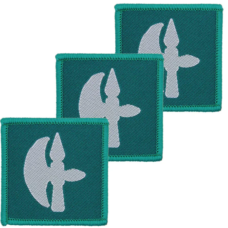 102 Logistics Brigade 102 LOG BDE Hook and Loop x3 TRF Pack