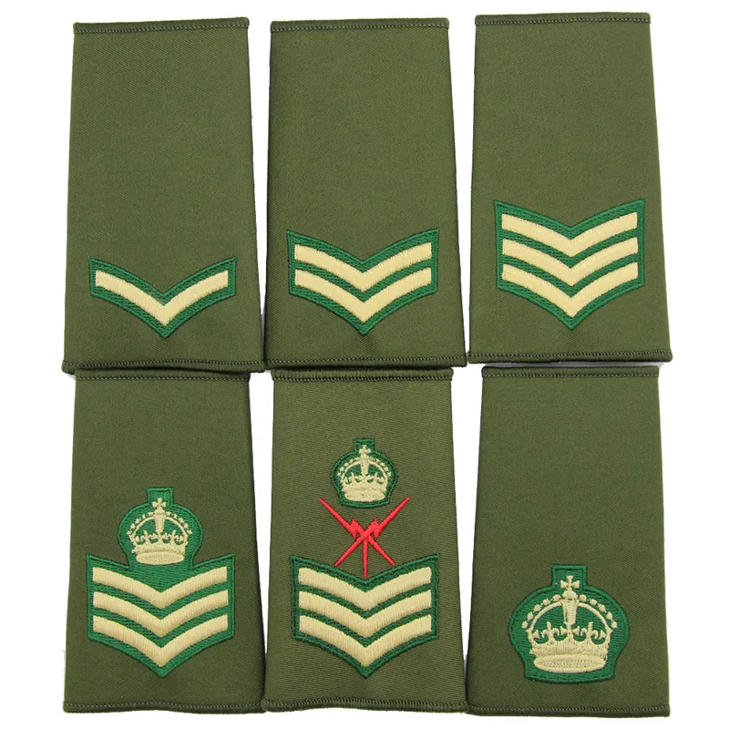 Intelligence Corp Rank Slides