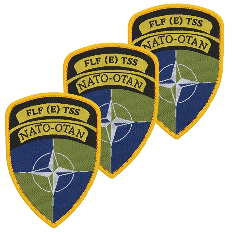 NATO FLF E TSS Battle Group TRF Flash x3 TRF