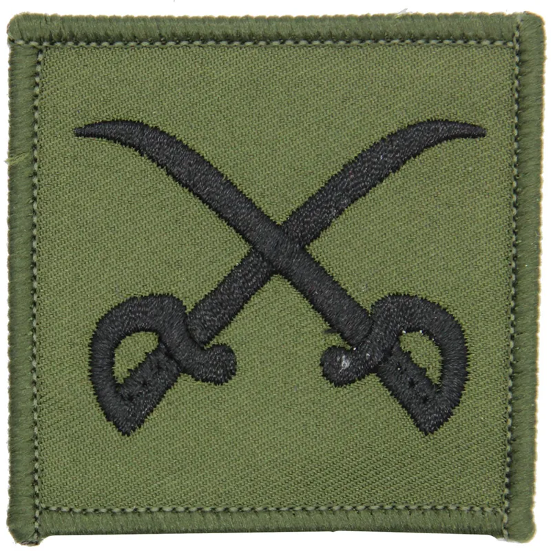 Assistant PTI Crossed Sword Olive Patch