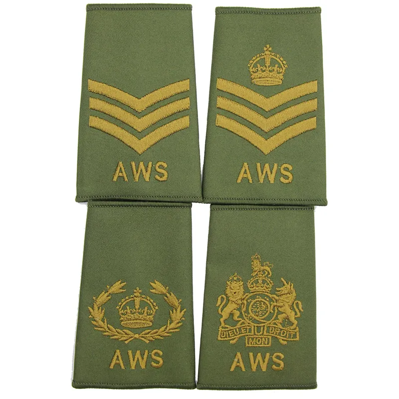 Army Welfare Service AWS Rank Slides