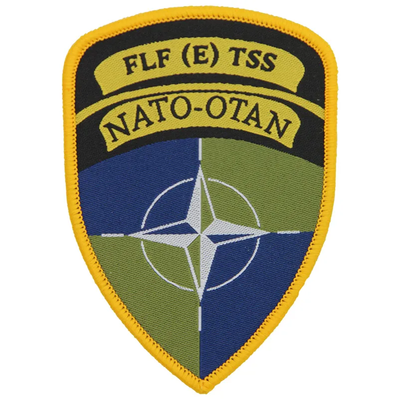 NATO FLF E TSS Battle Group TRF Flash x3 TRF-1