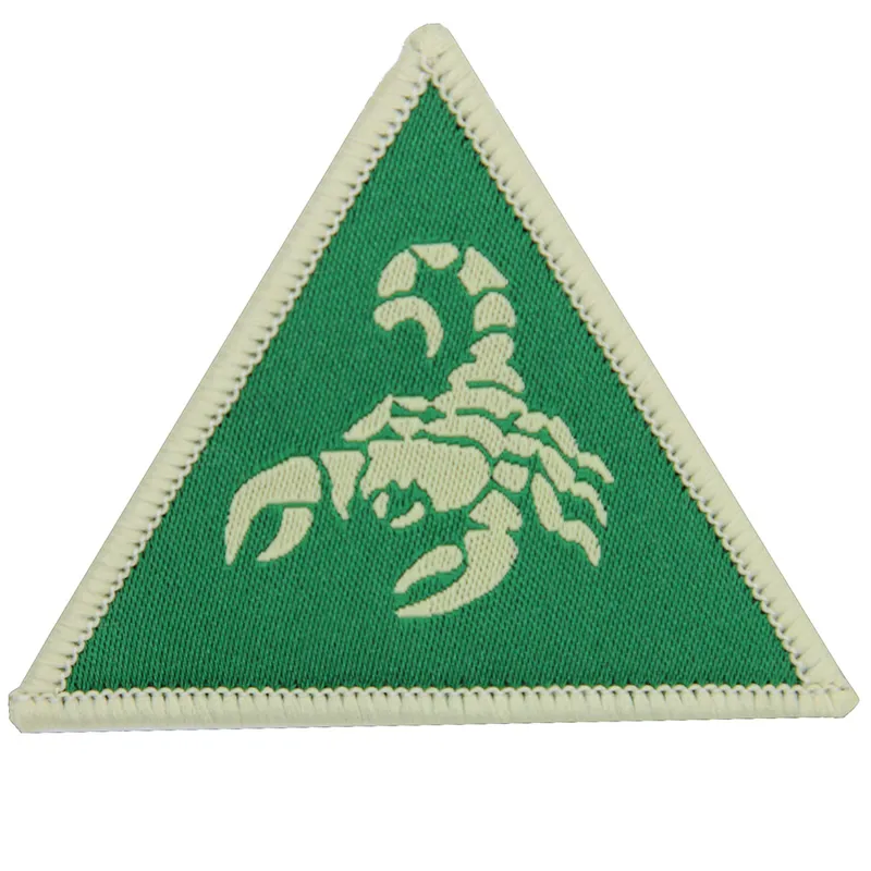 9th Deep Recce Strike Brigade Combat Team Green Cream x3 TRF Pack-1