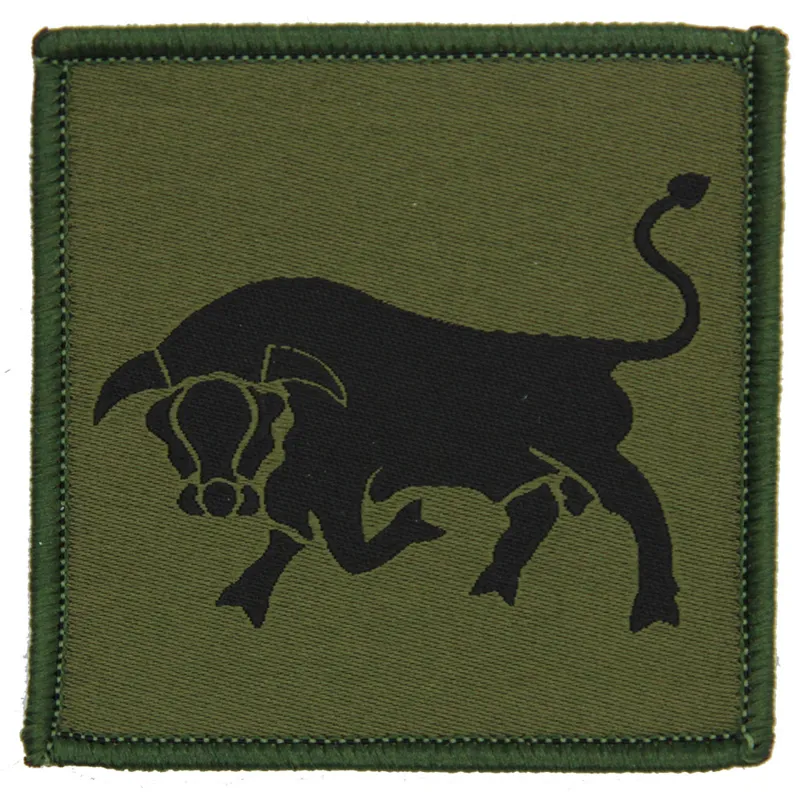 11th SFA Brigade Olive Black Hook and Loop x3 TRF Pack-1