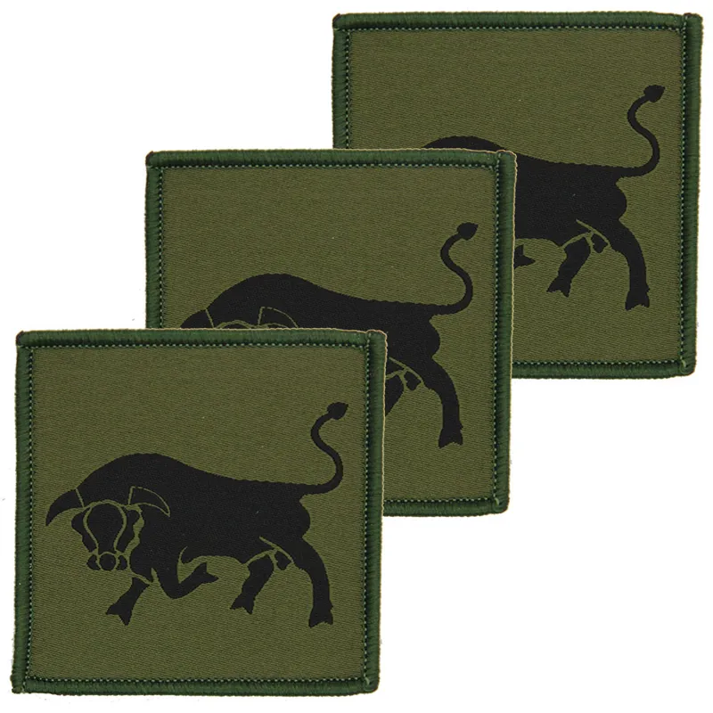 11th SFA Brigade Olive Black Hook and Loop x3 TRF Pack