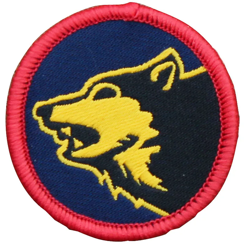 104 Logistics Support Brigade Hook and Loop TRF x3 TRF Pack-1